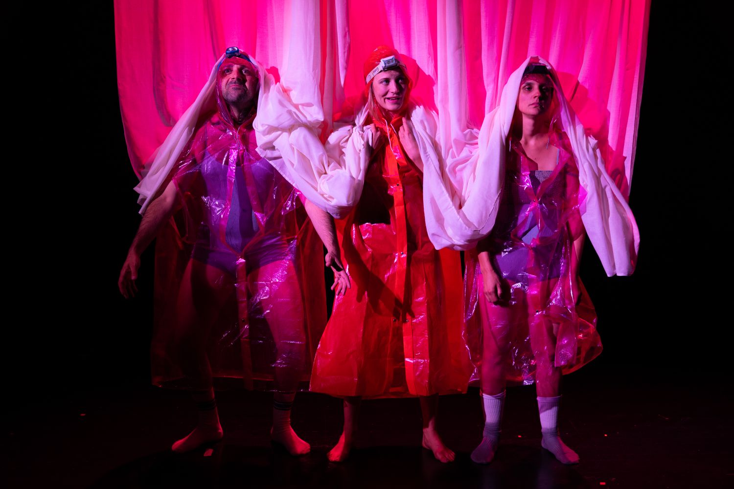 © Ariane Catton Balabeau